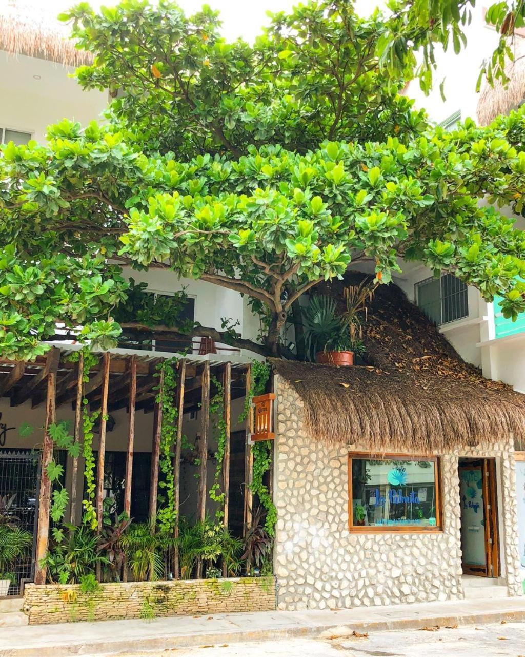 Hotel La Palmita By Mij トゥルム エクステリア 写真